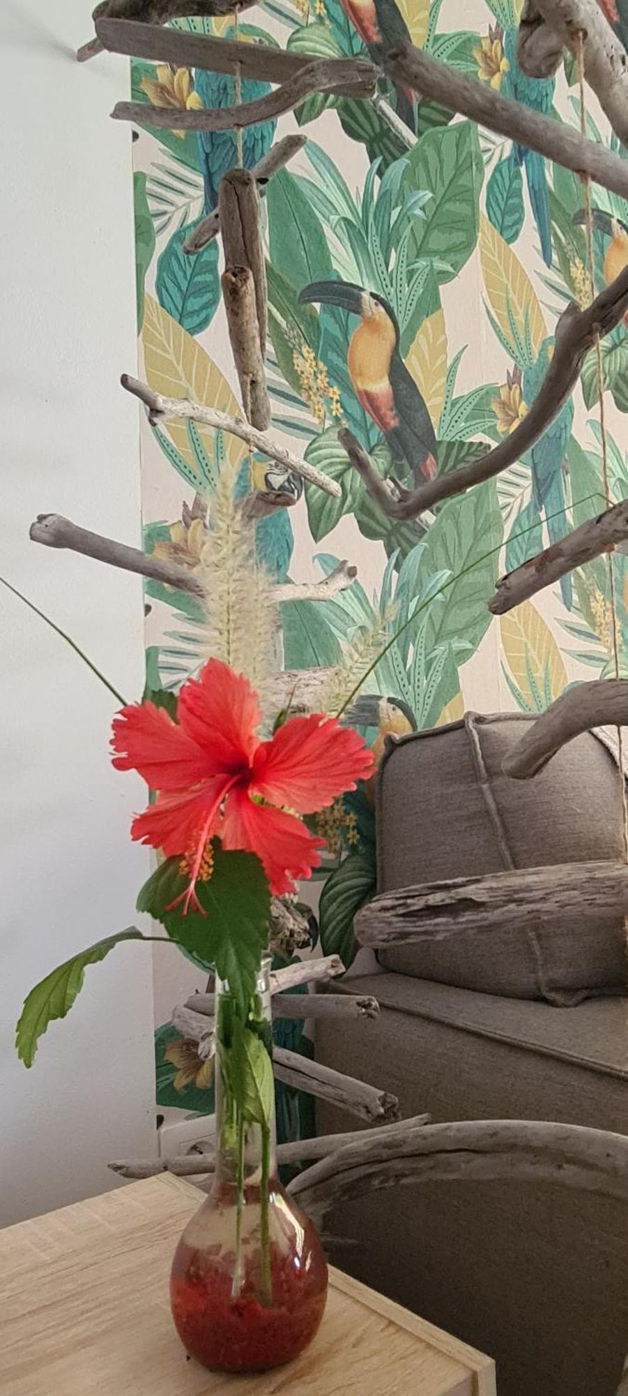 Coquet Appartement A 50 M Du Lagon L'Etang-Sale Luaran gambar
